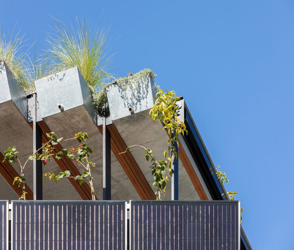 CplusC Architectural Workshop