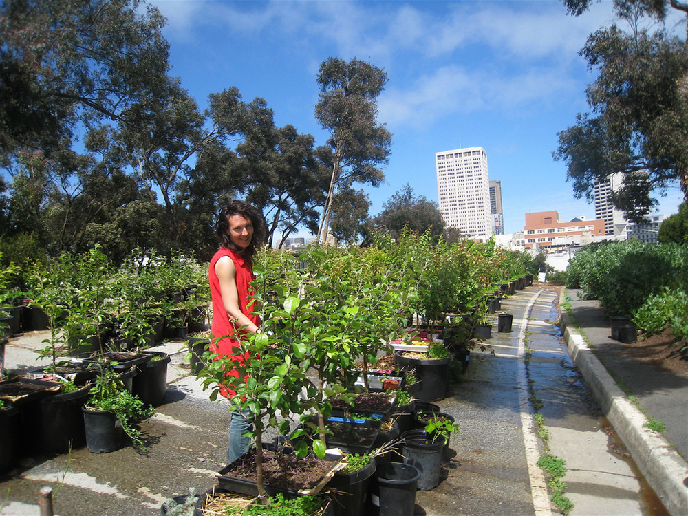 доставка на храни