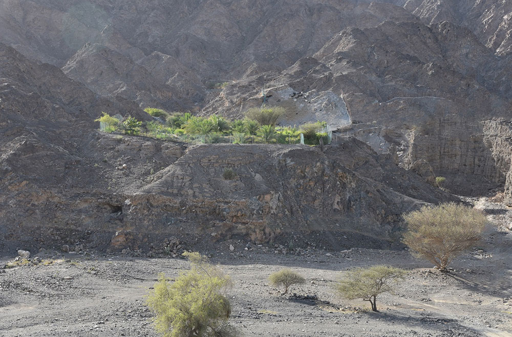 la biennale di venezia 