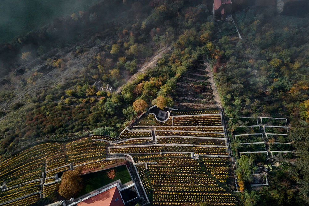 Jabloňka