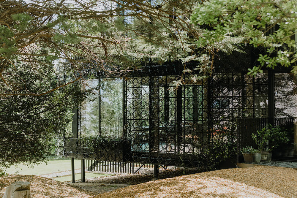 Edvinas Bruzas, Rachel Ferriman