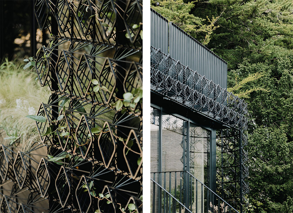 Edvinas Bruzas, Rachel Ferriman