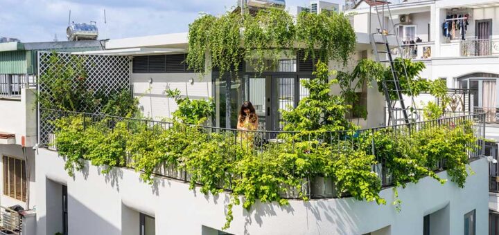 Sonmeo Nguyen Art Studio