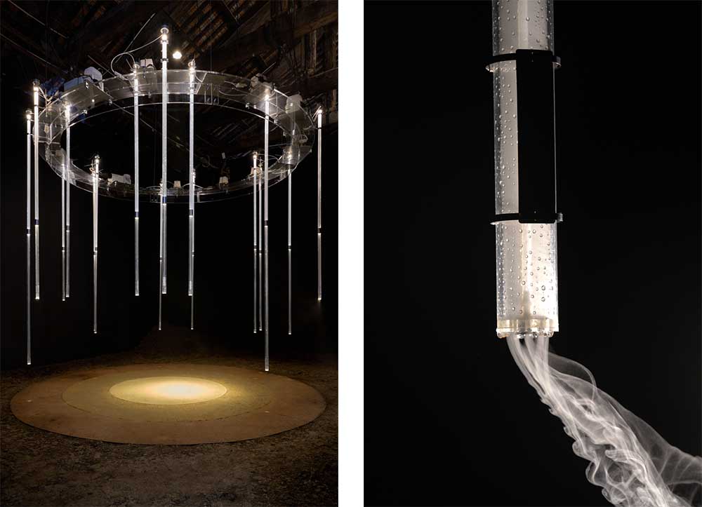 Lulebora nuk çel më