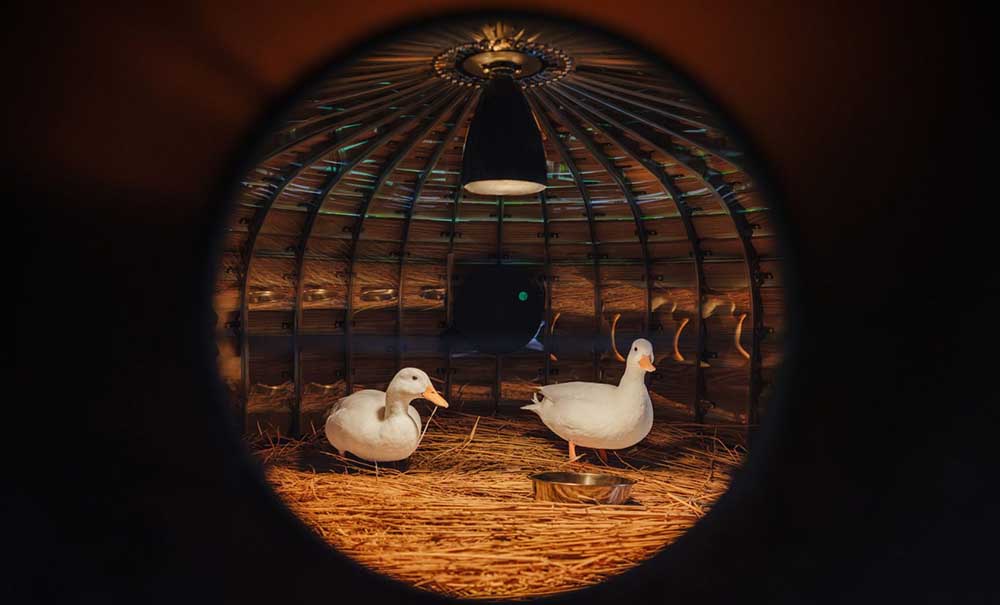 Fixer Photographic Studio.