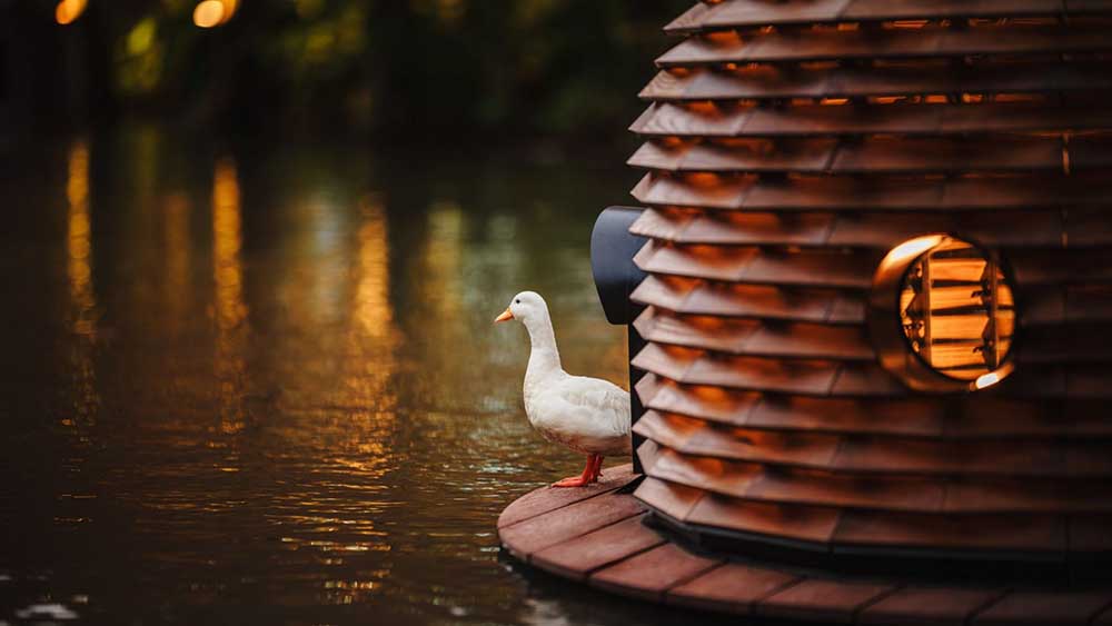 Fixer Photographic Studio.