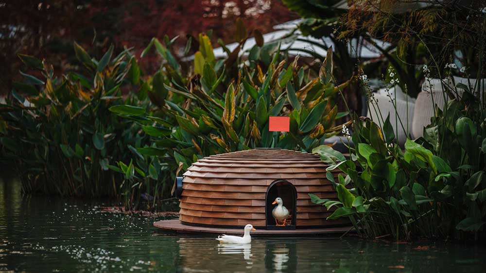 Fixer Photographic Studio.